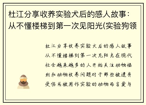 杜江分享收养实验犬后的感人故事：从不懂楼梯到第一次见阳光(实验狗领养)