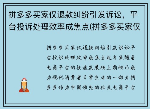 拼多多买家仅退款纠纷引发诉讼，平台投诉处理效率成焦点(拼多多买家仅退款申请质量问题怎么办)